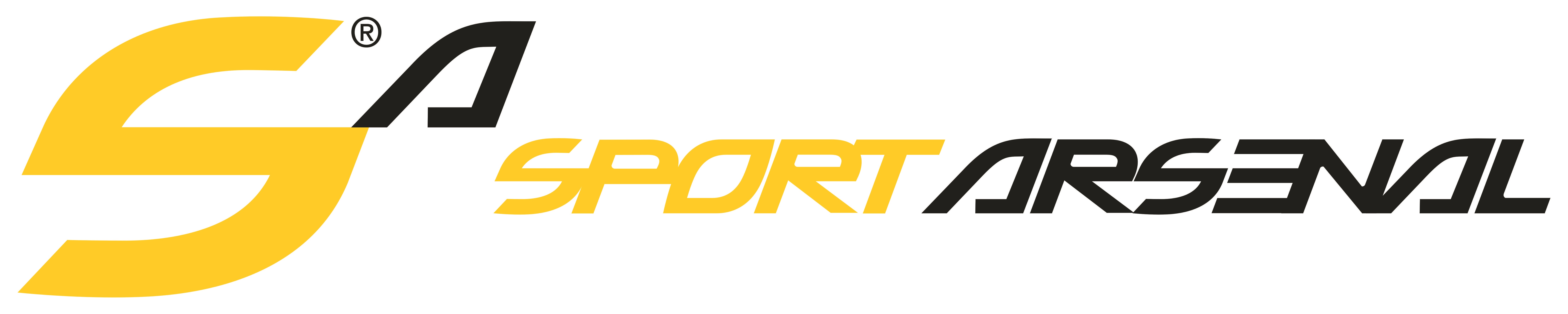 sport arsenal logo